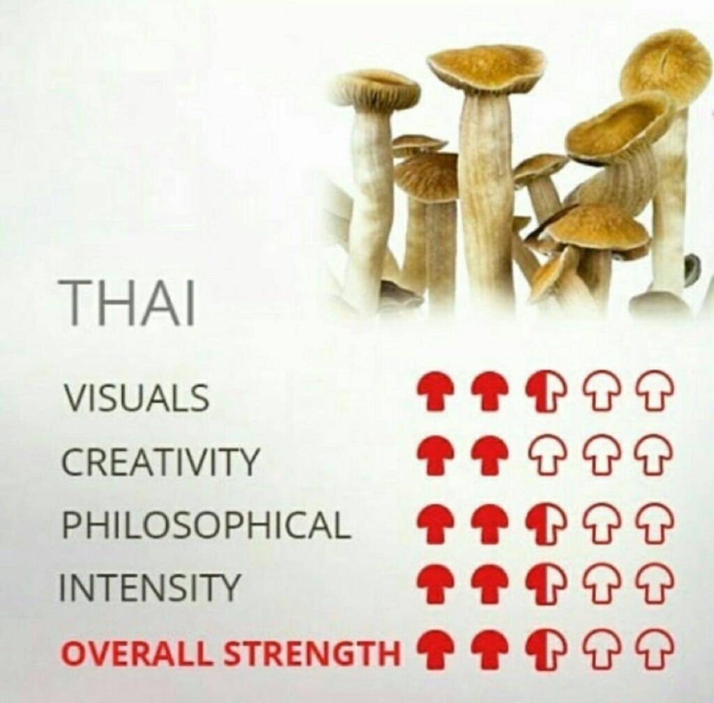 Thai Shroom