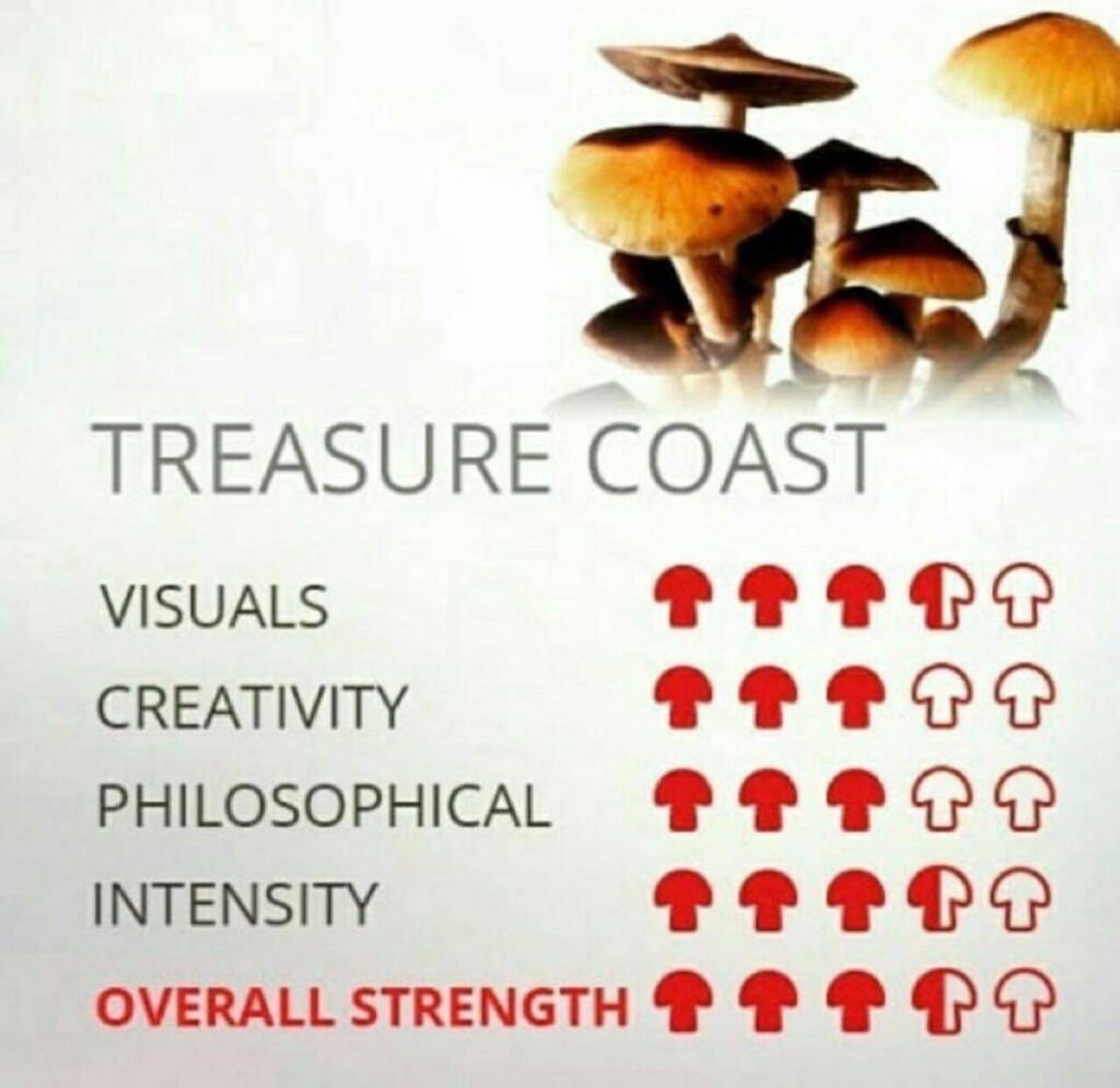 Treasure Coast Shroom