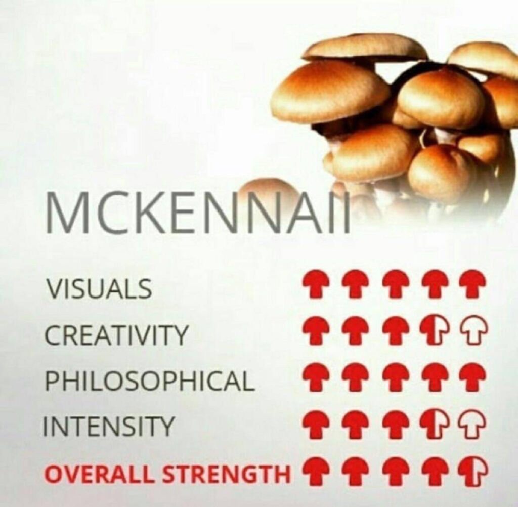 McKennaii Shroom