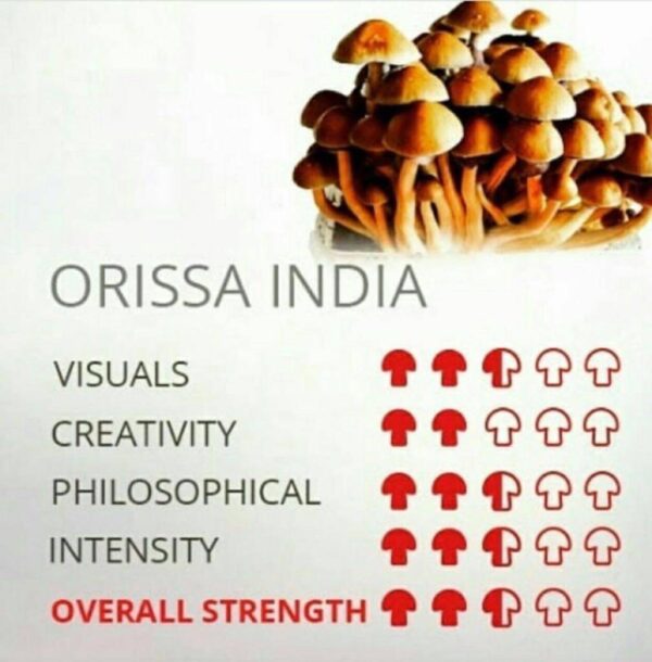 ORISSA INDIA🍄