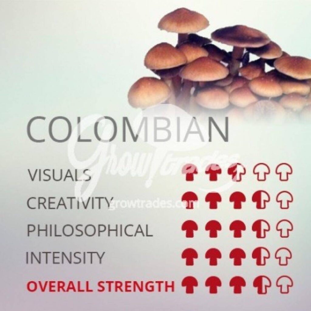 COLOMBIAN SHROOM