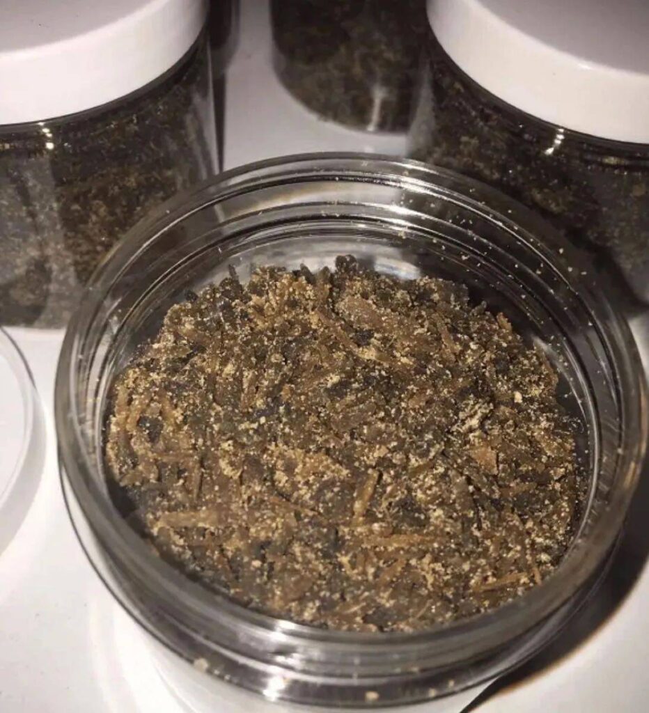 Changa DMT shroom