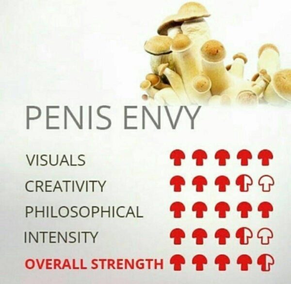 PENIS ENVY SHROOM 🍄